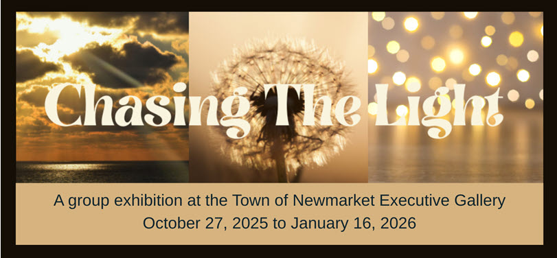 Chasing the Light web banner.jpg