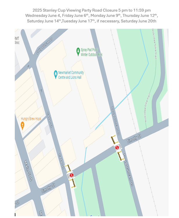 NHL Viewing Party.png